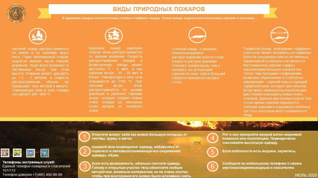 Виды природных пожаров